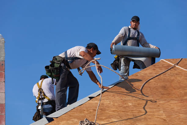 Best Roof Maintenance Services  in Tappahannock, VA